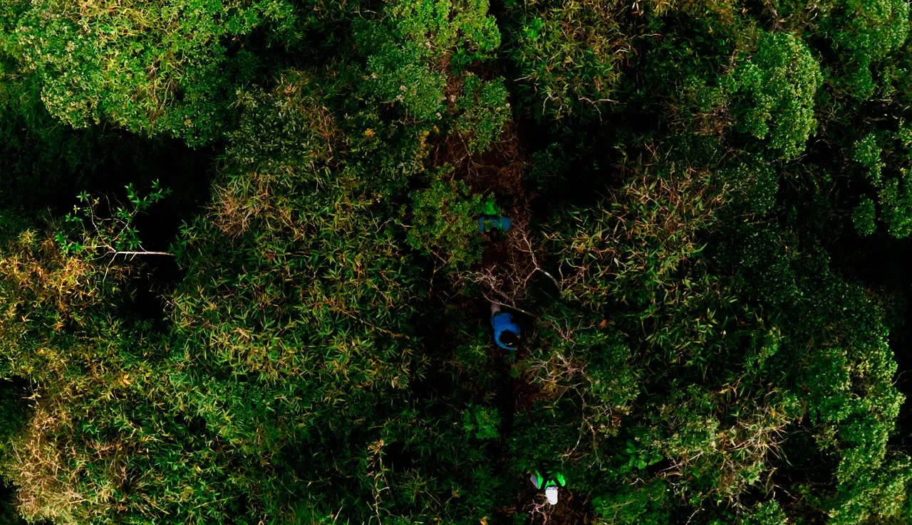 SOS Mata Atlântica — GPS Mata Atlântica